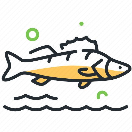 Fish, river, pike perch, fishing icon - Download on Iconfinder