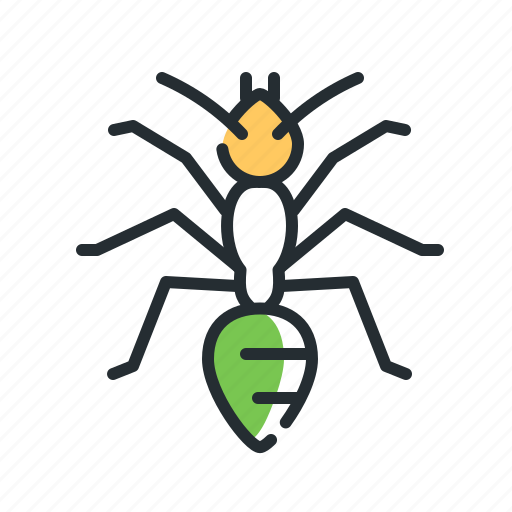 Ant, insect, beetle, wildlife icon - Download on Iconfinder
