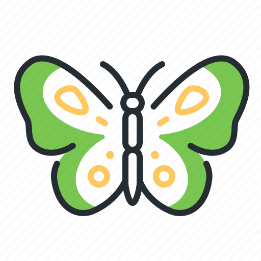 Butterfly, insect, beetle, spring icon - Download on Iconfinder