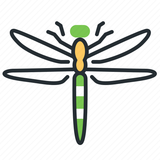 Dragonfly, insect, beetle, flying icon - Download on Iconfinder