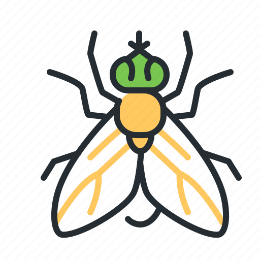 Fly, insect, beetle, midge icon - Download on Iconfinder