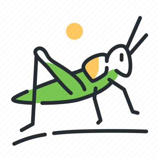Grasshopper, insect, beetle, wildlife icon - Download on Iconfinder