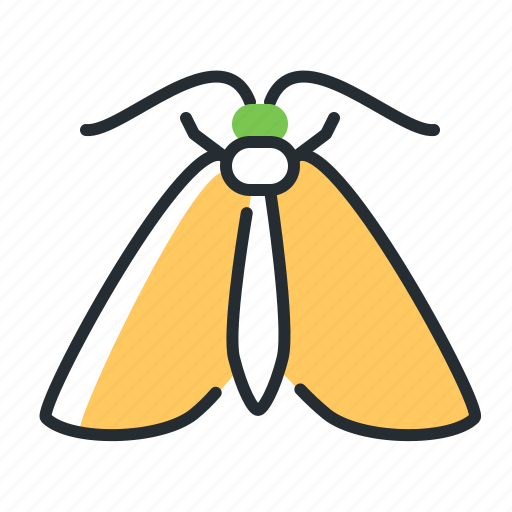 Moth, insect, beetle, pest icon - Download on Iconfinder