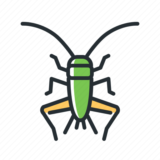 Cricket, beetle, insect, forest icon - Download on Iconfinder