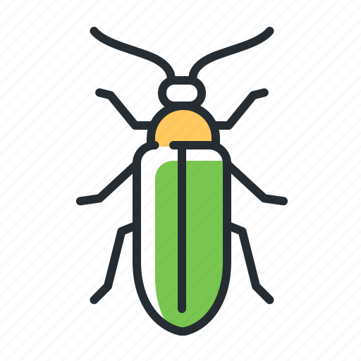 Firefly, beetle, insect, wildlife icon - Download on Iconfinder