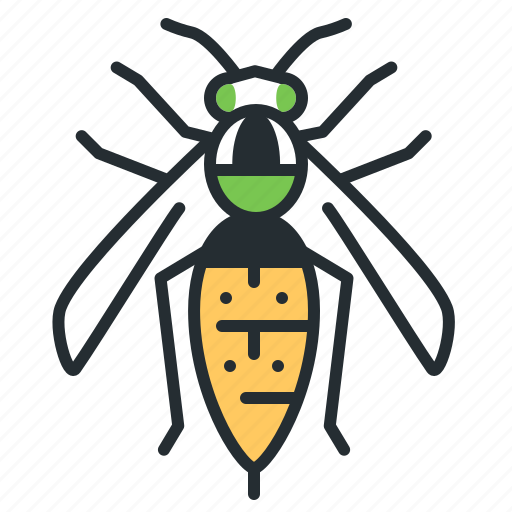 Hornet, beetle, insect, dangerous icon - Download on Iconfinder