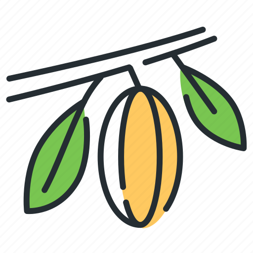 Cocoa, fruit, plant, nature icon - Download on Iconfinder