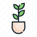 eco, green, growth, plant, tree