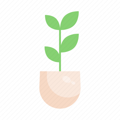 Eco, green, growth, plant, tree icon - Download on Iconfinder