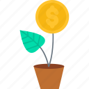 dollar plant, investment, money plant, money tree, growth and protection