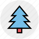 christmas, christmas tree, fir, holiday, nature, tree, winter