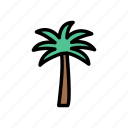 beach, holiday, nature, palm, tree