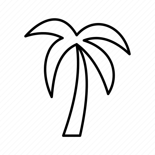 Coconut, tree, summer, plant, nature, beach icon - Download on Iconfinder