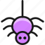 halloween, spider 