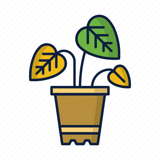 Comfort, eco, flower, home, leaves, plant, pot icon - Download on Iconfinder