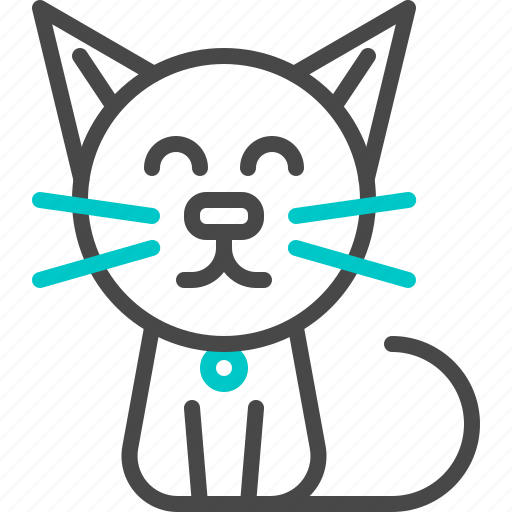Cat, pet, animal, kitty, cute, puss icon - Download on Iconfinder