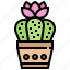 cactus, decorate, desert, flower, plant 