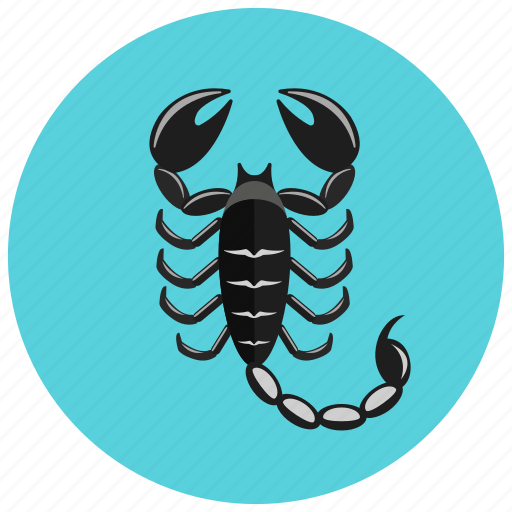 Horoscope, scorpio, scorpion, sign, zodiac, zodiacs icon - Download on Iconfinder