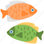 astrological symbol, colorful fish, pisces, two fish, zodiac sign 