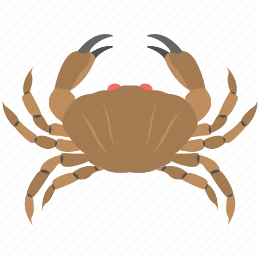 Animal, astrological symbol, cancer, crab, zodiac sign icon - Download on Iconfinder