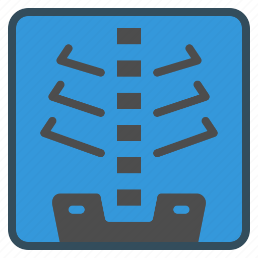 Medical, patient, radiology, ray, ribcage, x, xray icon - Download on Iconfinder