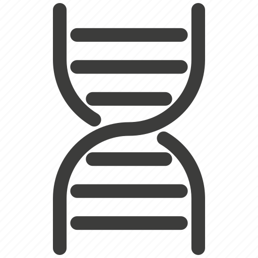 Hospital, medical, chromosome, code, dna, genes, heredity icon - Download on Iconfinder