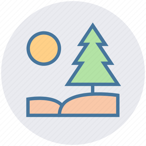 Conifer tree, fir tree, forest, pine tree, tree, yard tree icon - Download on Iconfinder
