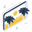 palm trees, coconut trees, beach trees, arecaceae, nature