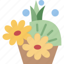 flower, arrangement, bouquet, floral, decoration