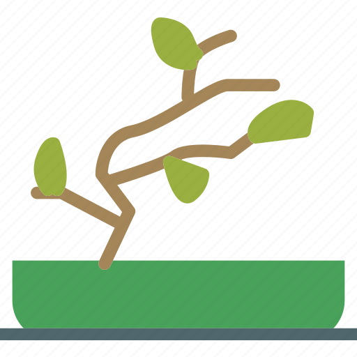 Bonsai, decor, green, plant icon - Download on Iconfinder