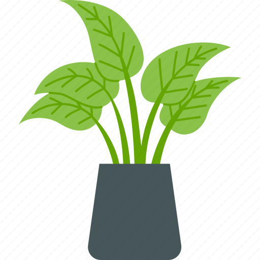 Houseplant, plant, nature, summer, floral, leaf icon - Download on Iconfinder