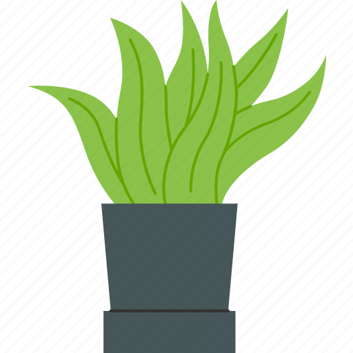 Houseplant, plant, nature, summer, floral, leaf icon - Download on Iconfinder