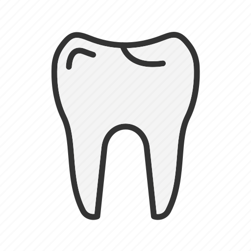 - tooth, dental, dentist, medical, health, dental-care, healthcare icon - Download on Iconfinder