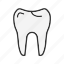 - tooth, dental, dentist, medical, health, dental-care, healthcare, care 