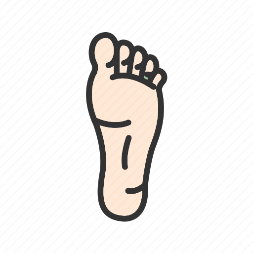 - foot, leg, feet, medical, shoes, fashion, health icon - Download on Iconfinder