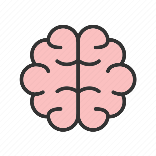 - brain, mind, idea, intelligence, thinking, head, creative icon - Download on Iconfinder