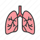 - lungs, organ, medical, anatomy, virus, breath, health, human