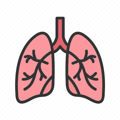 - lungs, organ, medical, anatomy, virus, breath, health icon - Download on Iconfinder