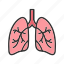 - lungs, organ, medical, anatomy, virus, breath, health, human 