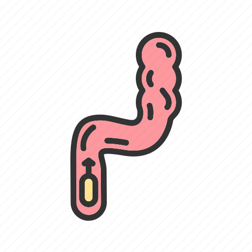 - rectum, human, abdomen, herb, drug, hairstyle, business icon - Download on Iconfinder