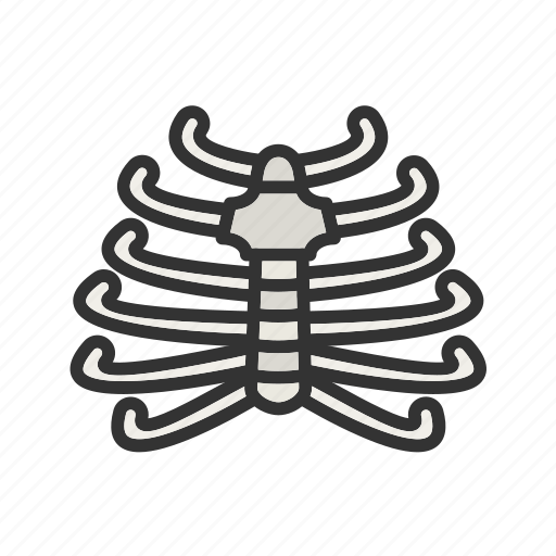 - ribcage, poison, skeleton, thorax, torso, mouth, muscle icon - Download on Iconfinder