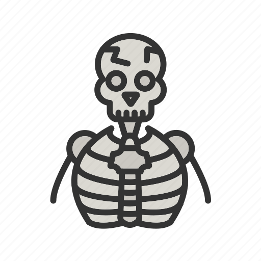 - human skeleton, skeleton, bones, bone, medical, anatomy, healthcare icon - Download on Iconfinder