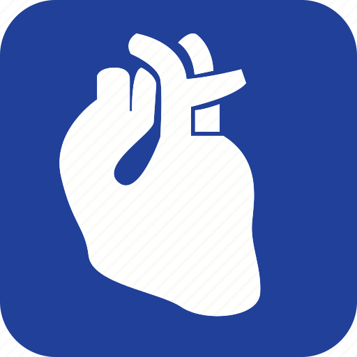 Heart, anatomy, body, health, human, organ, part icon - Download on Iconfinder