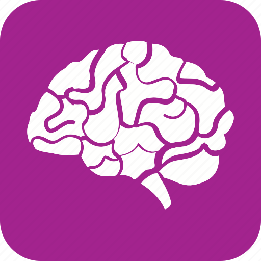 Brain, human, anatomy, body, head, organ, part icon - Download on Iconfinder