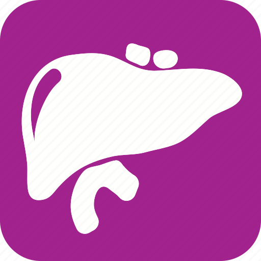 Liver, anatomy, body, health, human, organ, part icon - Download on Iconfinder