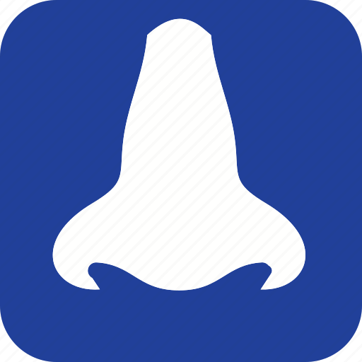 Nose, body, expression, face, human, part, smell icon - Download on Iconfinder