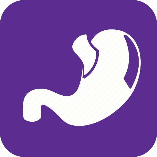 Stomach, anatomy, body, health, human, organ, part icon - Download on Iconfinder