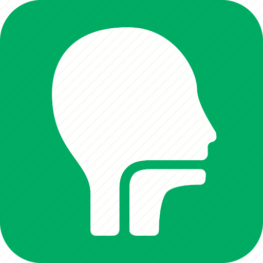 Throat, anatomy, body, health, human, organ, part icon - Download on Iconfinder
