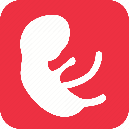 Uterious, uterus, female, girl, lady, uterine, woman icon - Download on Iconfinder