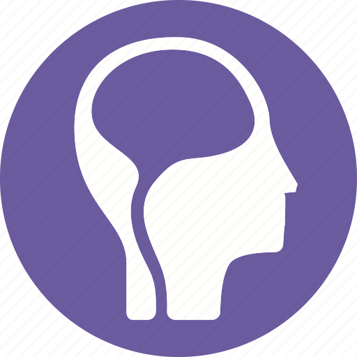 Brain, anatomy, body, health, human, organ, part icon - Download on Iconfinder